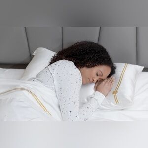 $227 Silk White Queen Sized Sheet Set